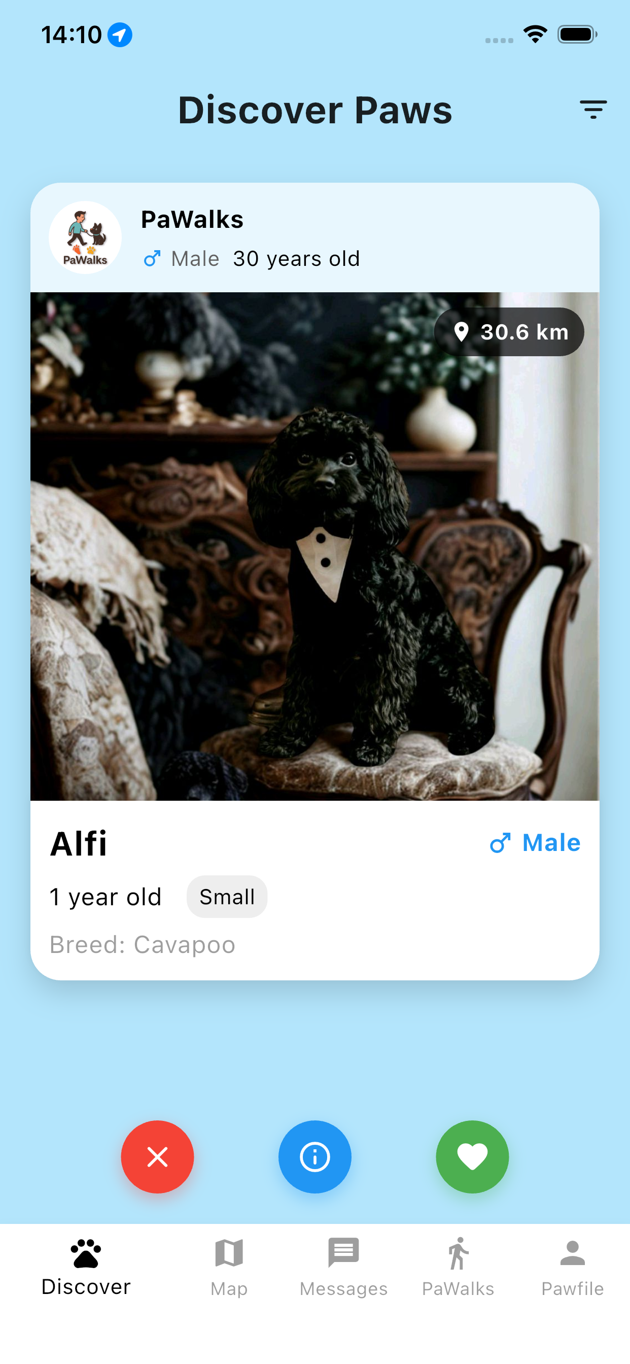 PaWalks - Discover Paws